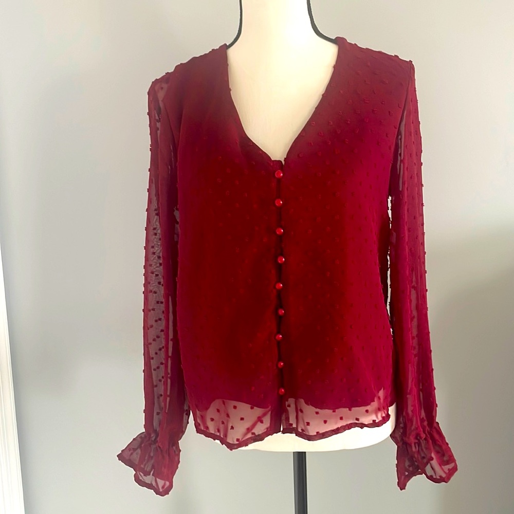 Sheer maroon blouse XS. (New without tags)